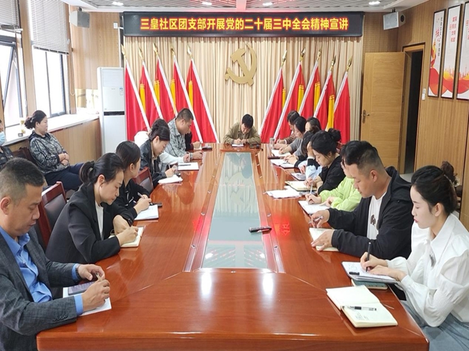 三皇社区团支部.jpg